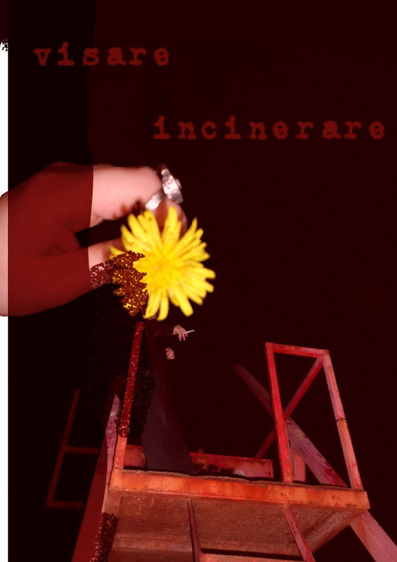 Imatge de visare incinerare