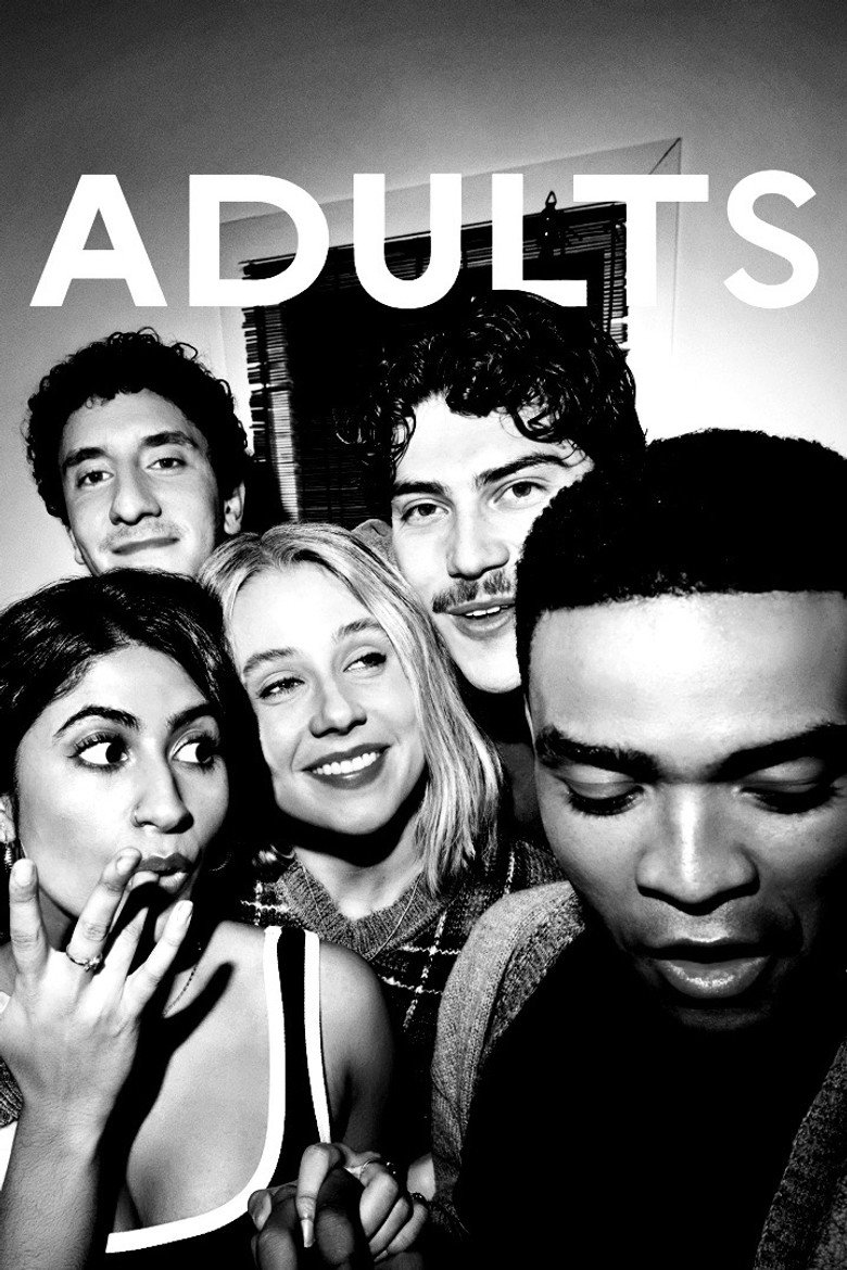 Póster la Serie