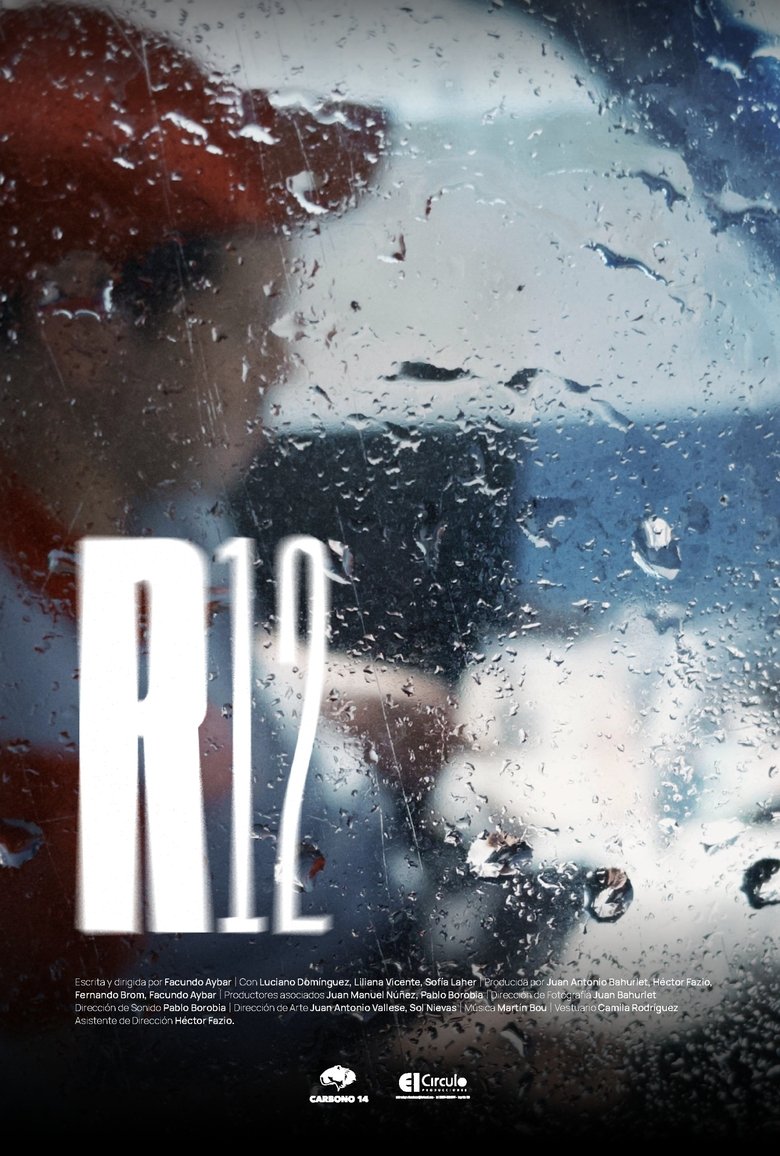 R12 (2024)