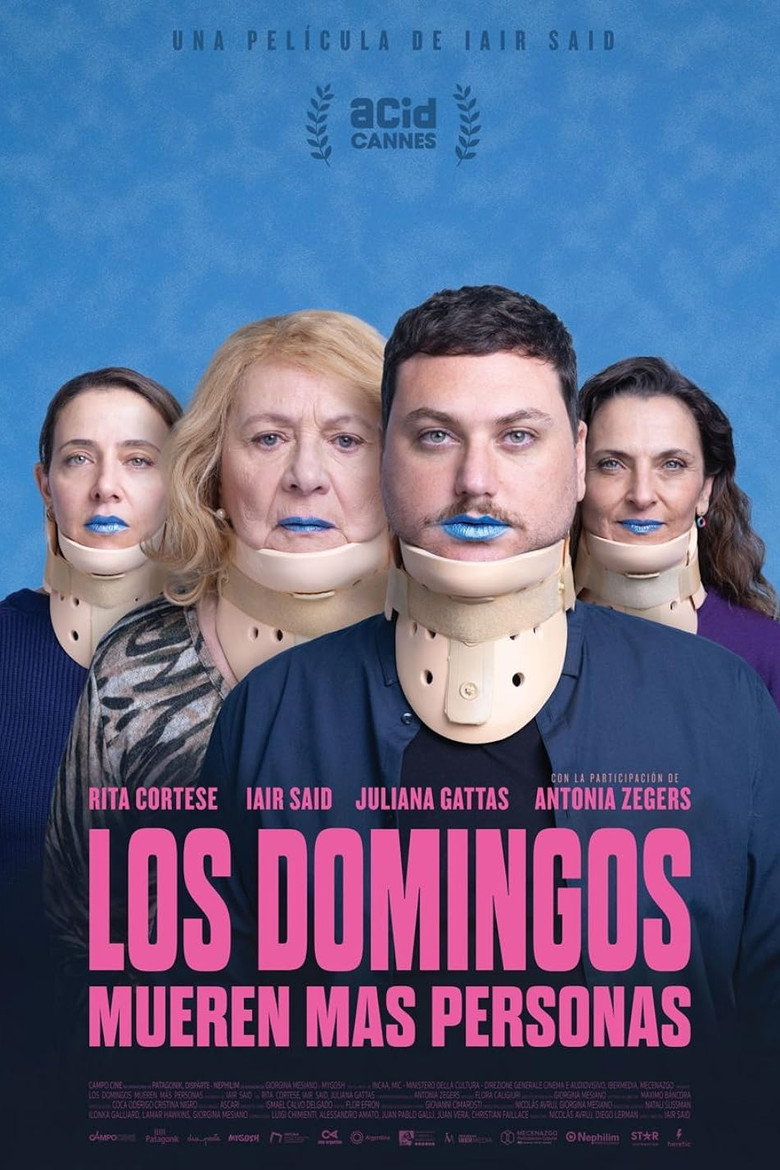 Póster la Película