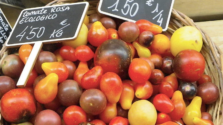 Valencia - Mercado Central