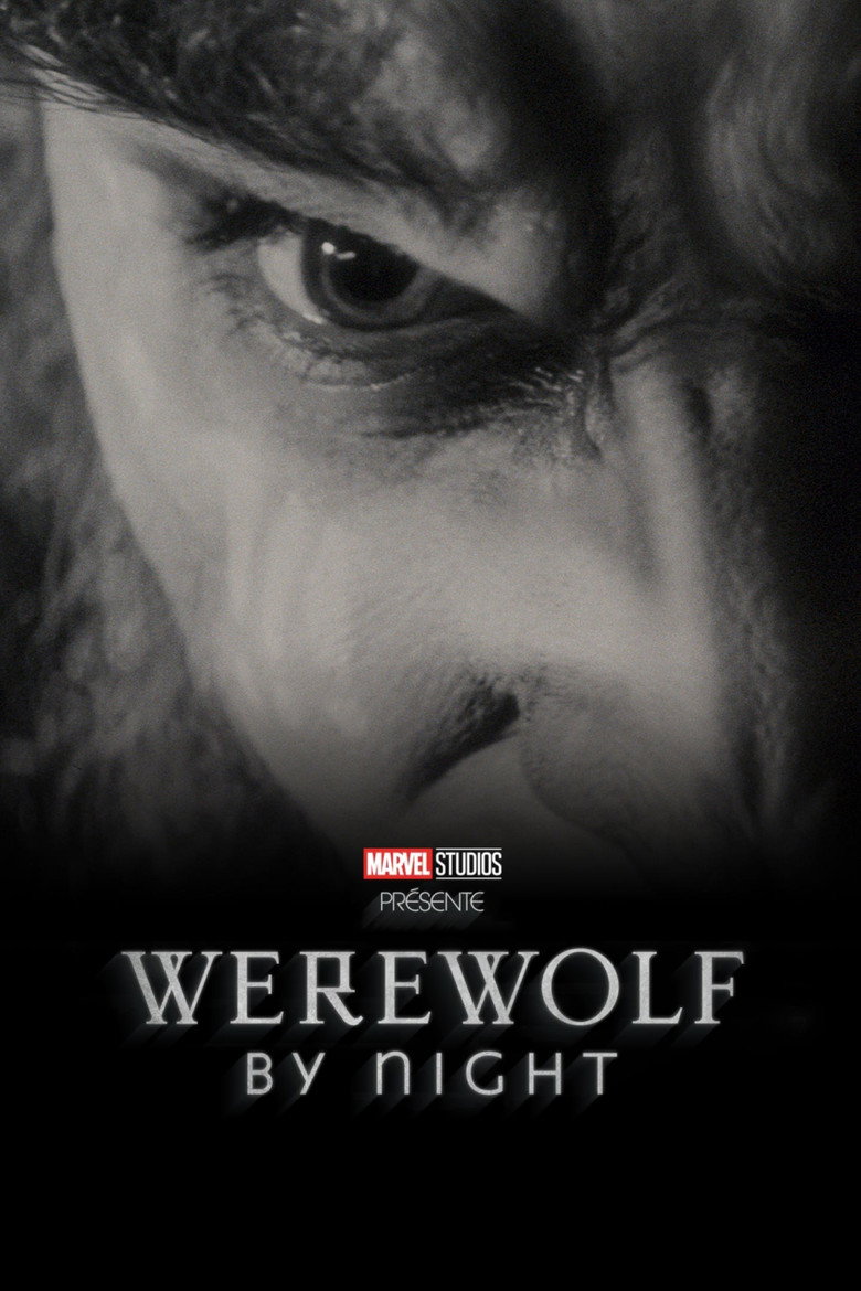 Póster la Película
