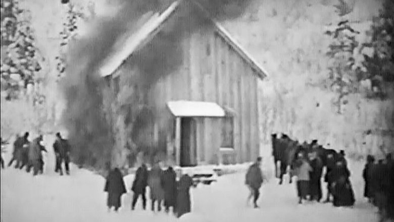 Gallery image from 2aPaoAhjVvHkPitYviETcUy29ym.jpg