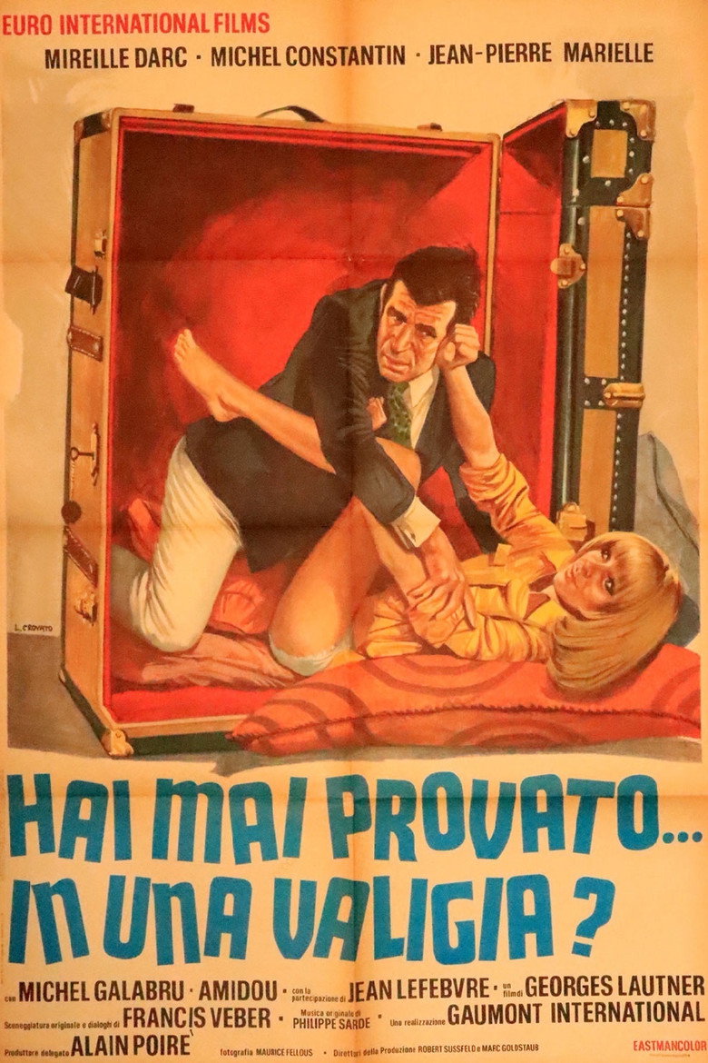 Copertina di Hai mai provato... in una valigia?