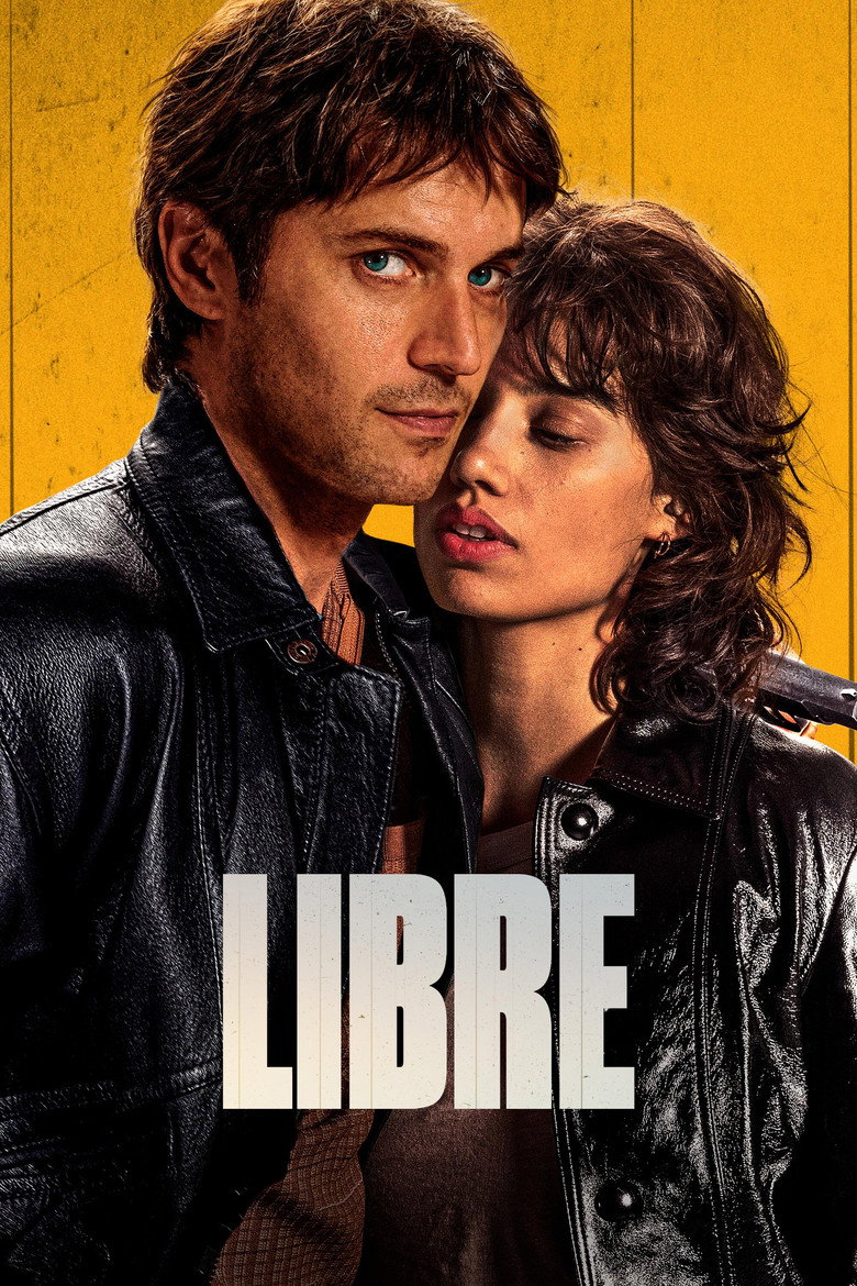 Póster la Película