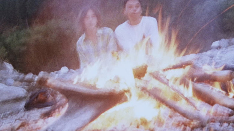 scenes 24
