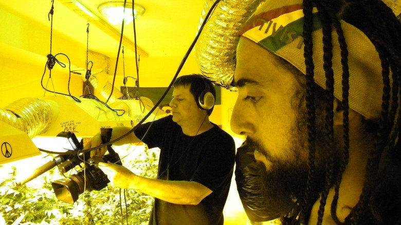 American Drug War 2: Cannabis Destiny