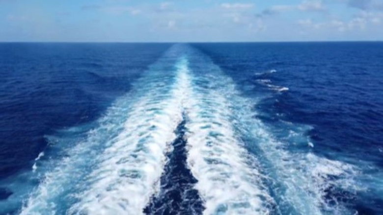 Gallery image from 2bwCjjbK9FXkow6c16rp7jlMyqr.jpg