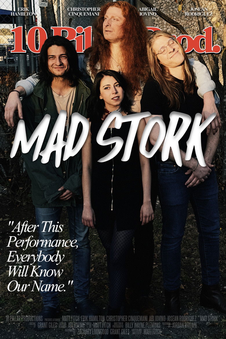 Imatge de Mad Stork