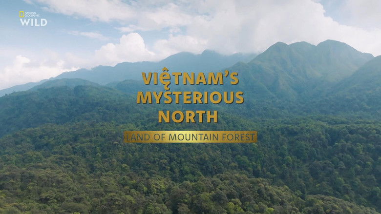 Wild Vietnam 1×1
