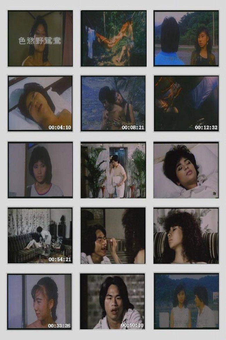 Imatge de 幼齿花招