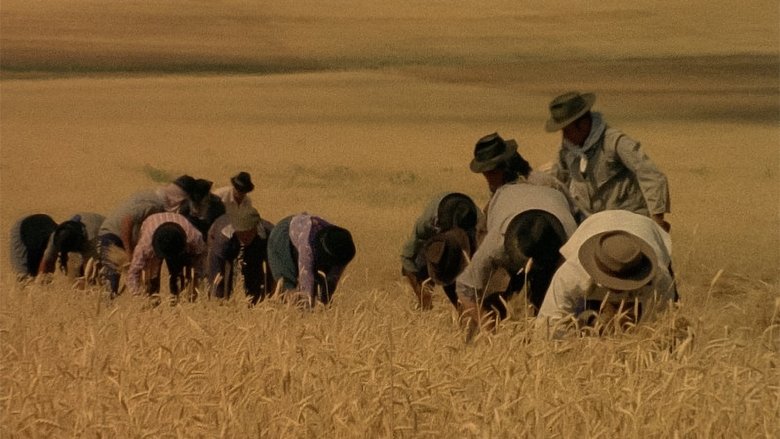 Gallery image from 2d85fkfkegaJWLldYZ9alonuKi9.jpg