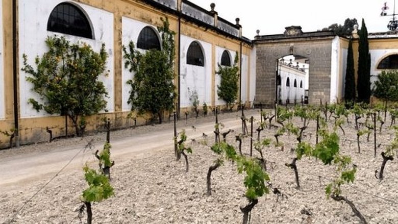 Kluci v akci Sezóna 1 Epizoda 82 bombuj