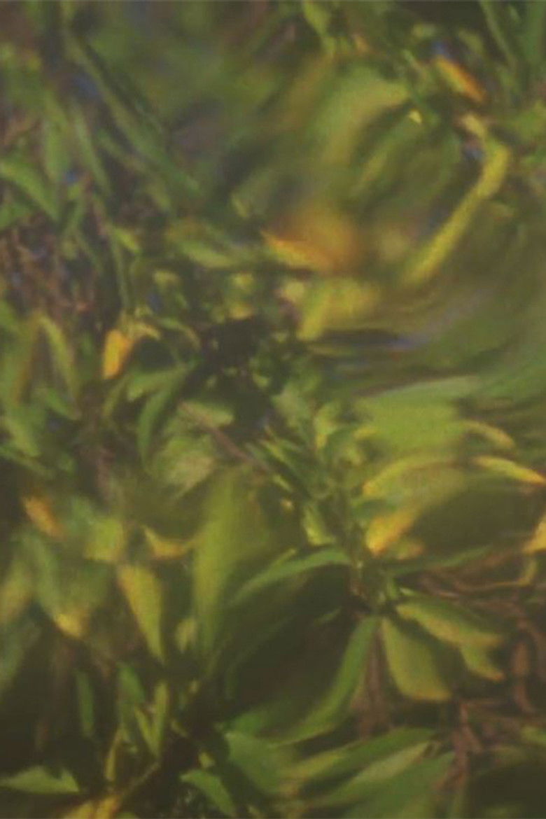 Imatge de When Light is Displaced