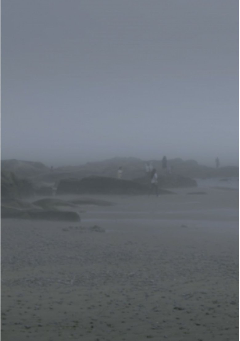 The Fog Has Covered The Moment Again