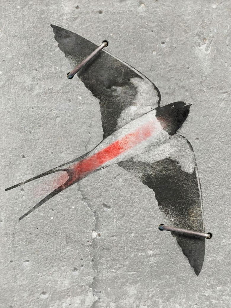 Imatge de Pod szarym niebem