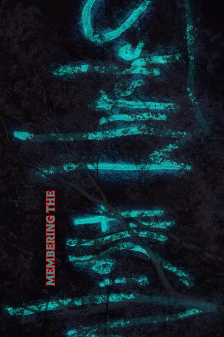 Imatge de Membering the Night Witches