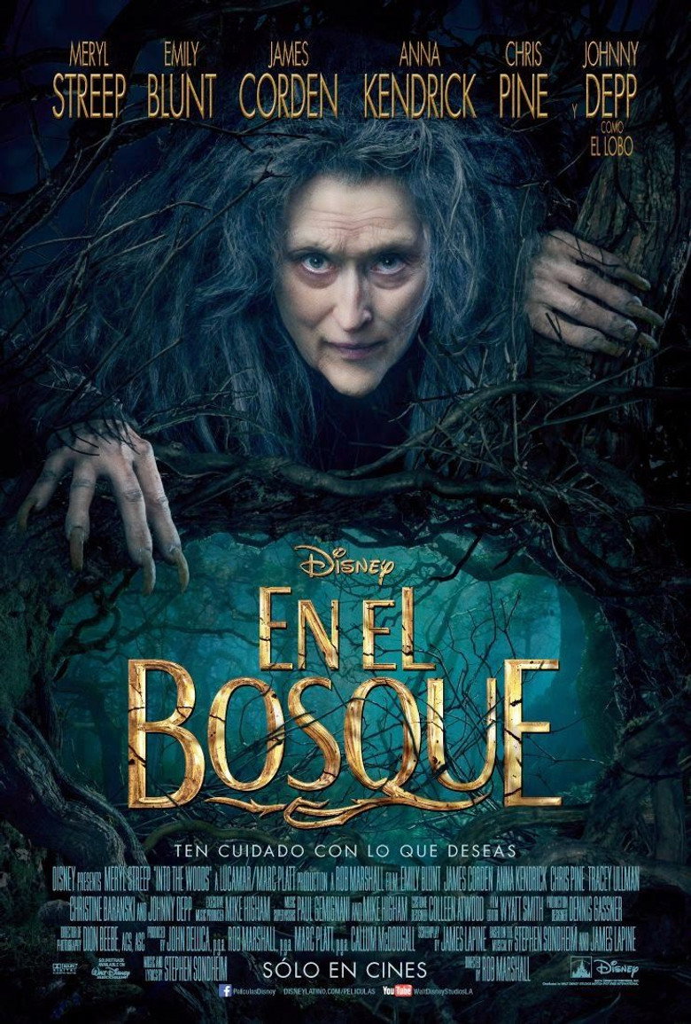 Póster la Película