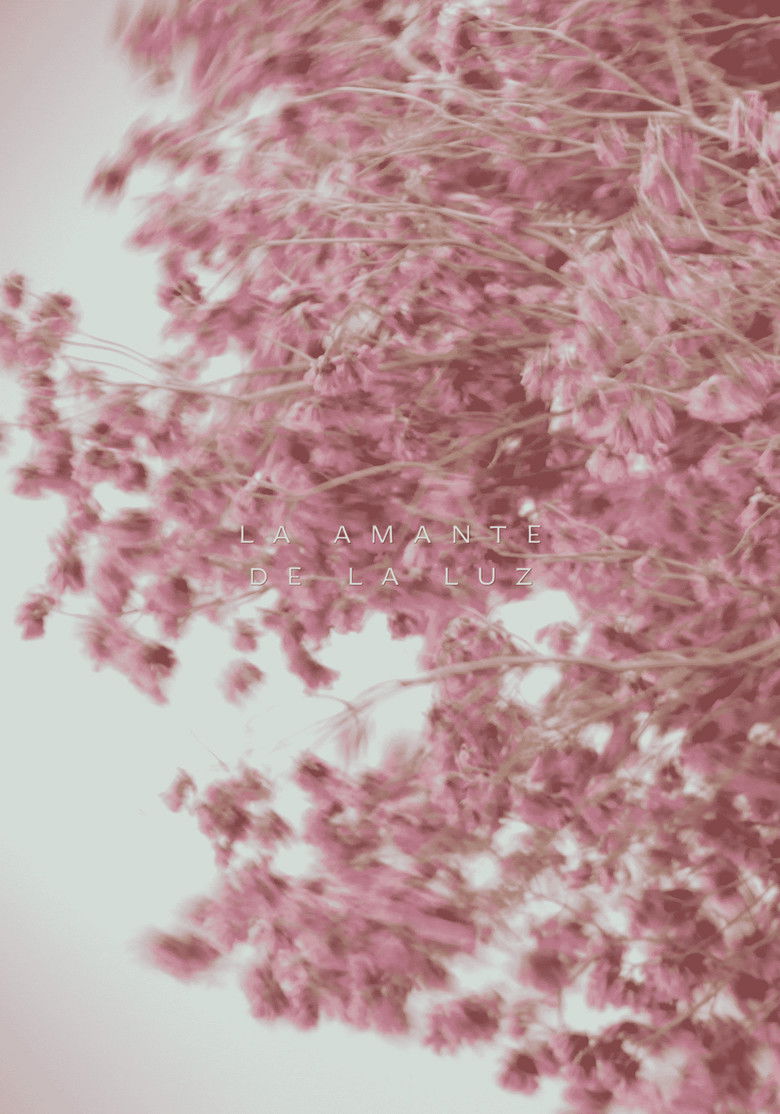 Imatge de La amante de la luz