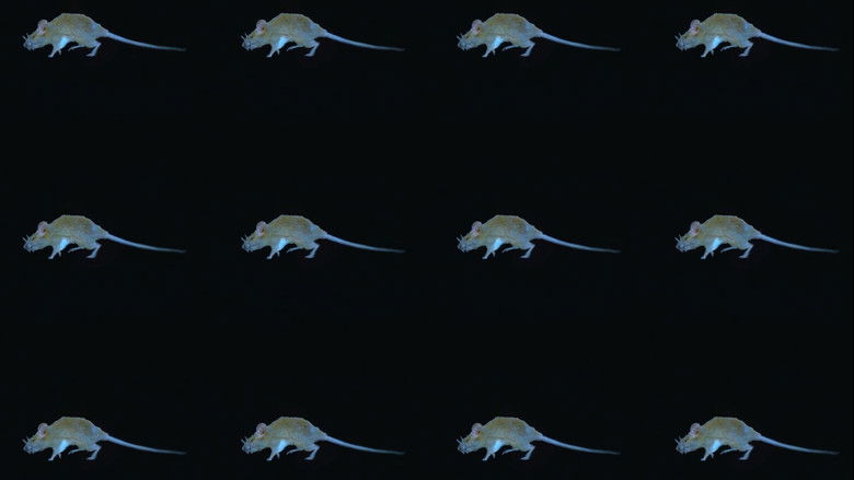 Gallery image from 2i6taeRoEqw4CS4qwUO0cTeI3VP.jpg