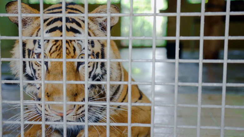 Still image for The Dark Web season 1 episode 1: Queen of Sextortion Still image for The Dark Web season 1 episode 1: Queen of Sextortion