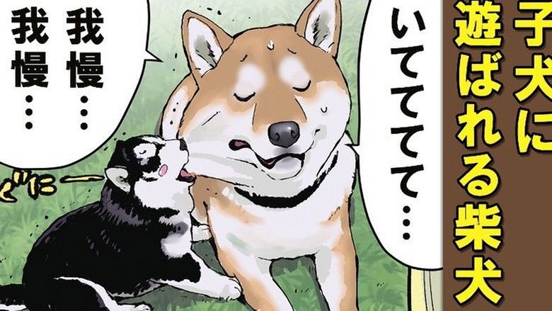 Still image for Doomsday with My Dog season 1 episode 59: The Lady of the Spring / The Fountain of Youth / Teach Me, Haru-wan Still image for Doomsday with My Dog season 1 episode 59: The Lady of the Spring / The Fountain of Youth / Teach Me, Haru-wan