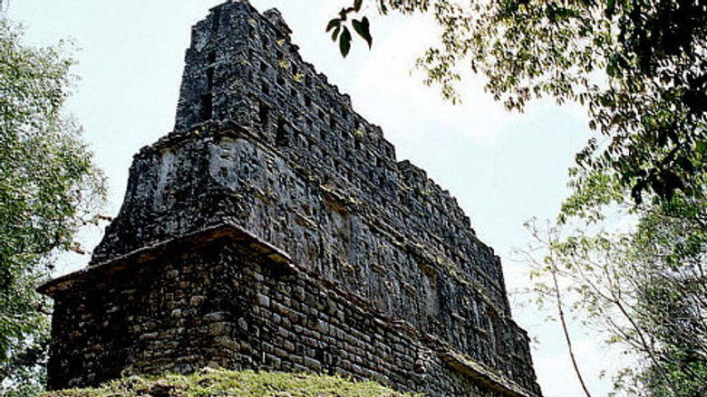 Lost King of the Maya