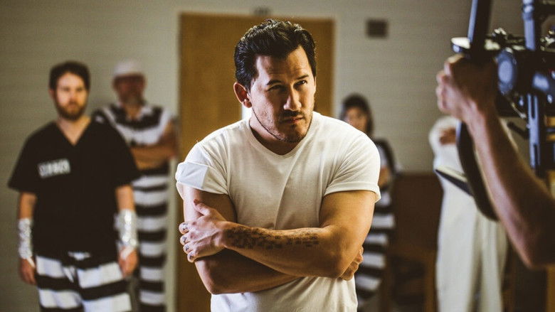 Backdrop de With Markiplier Collection