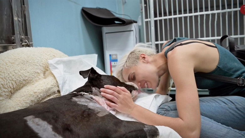 Still image for That's Amore season 1 episode 1: Episode 1