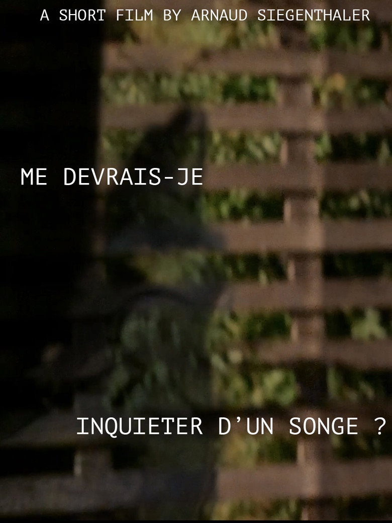 Imatge de Me devrais-je inquiéter d'un songe ?