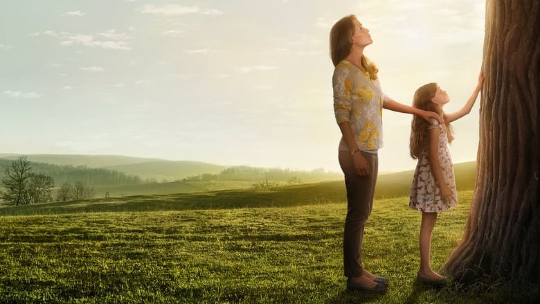 Miracles from Heaven (2016)