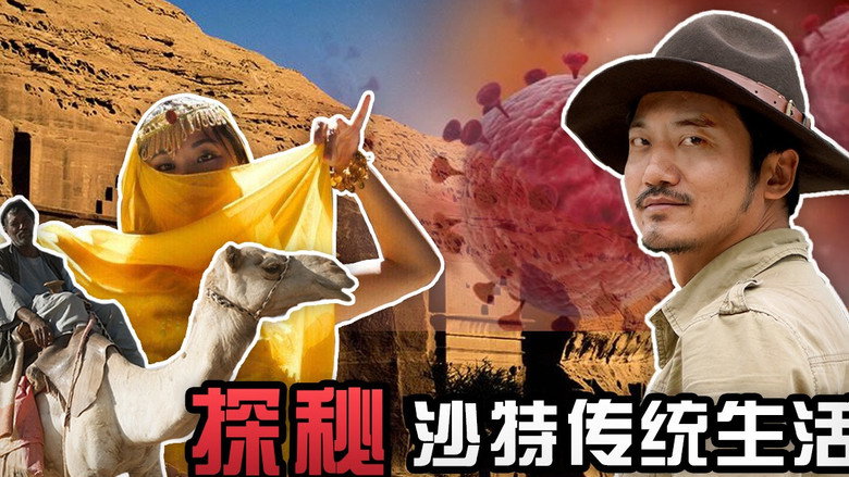 Episode 233
