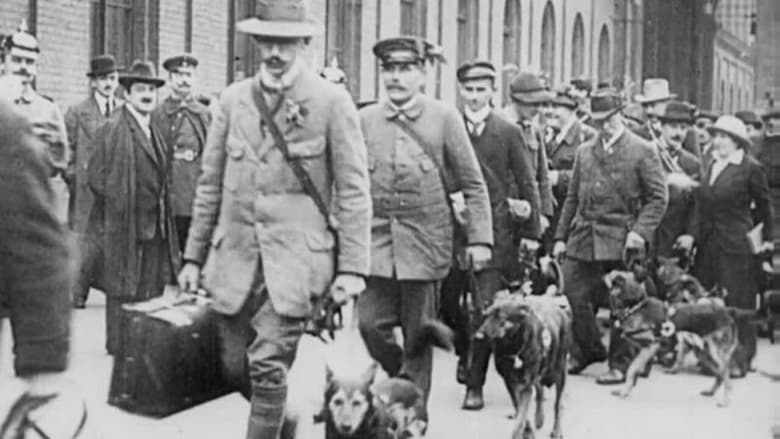 Red Cross Dogs (1914)