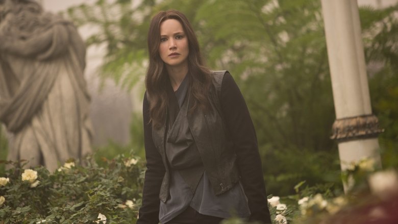 The Hunger Games: Mockingjay - Part 2 (2015)