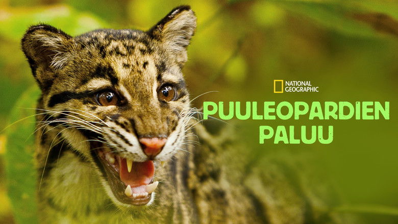 Gallery image from 2obsCHclLJs0vLcsZUQIPwdkpTh.jpg