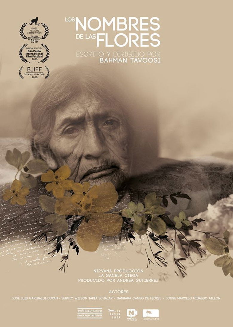 Imatge de Los nombres de las flores