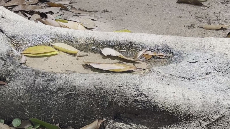 Gallery image from 2q3O6douEApg3ZtQ8EmkJUh5IK7.jpg