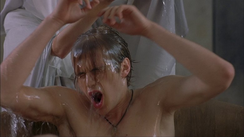 Virgin Territory (2007)