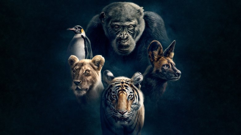 Le Loup Et Le Lion Streaming Gratuit Dynasties en Streaming gratuit sans limite | YouWatch Séries