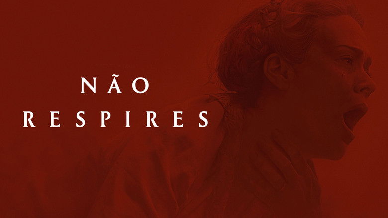 2souwyqechho20qwkbz6rm7ew6u