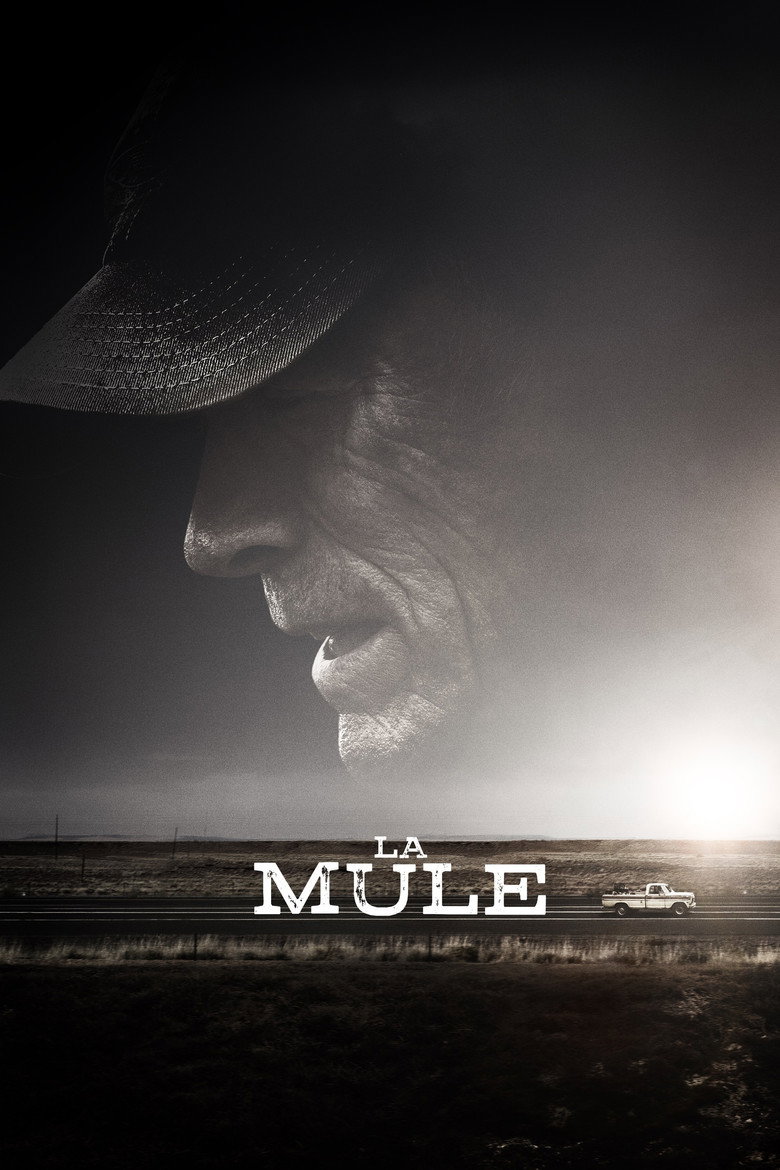 Póster la Película