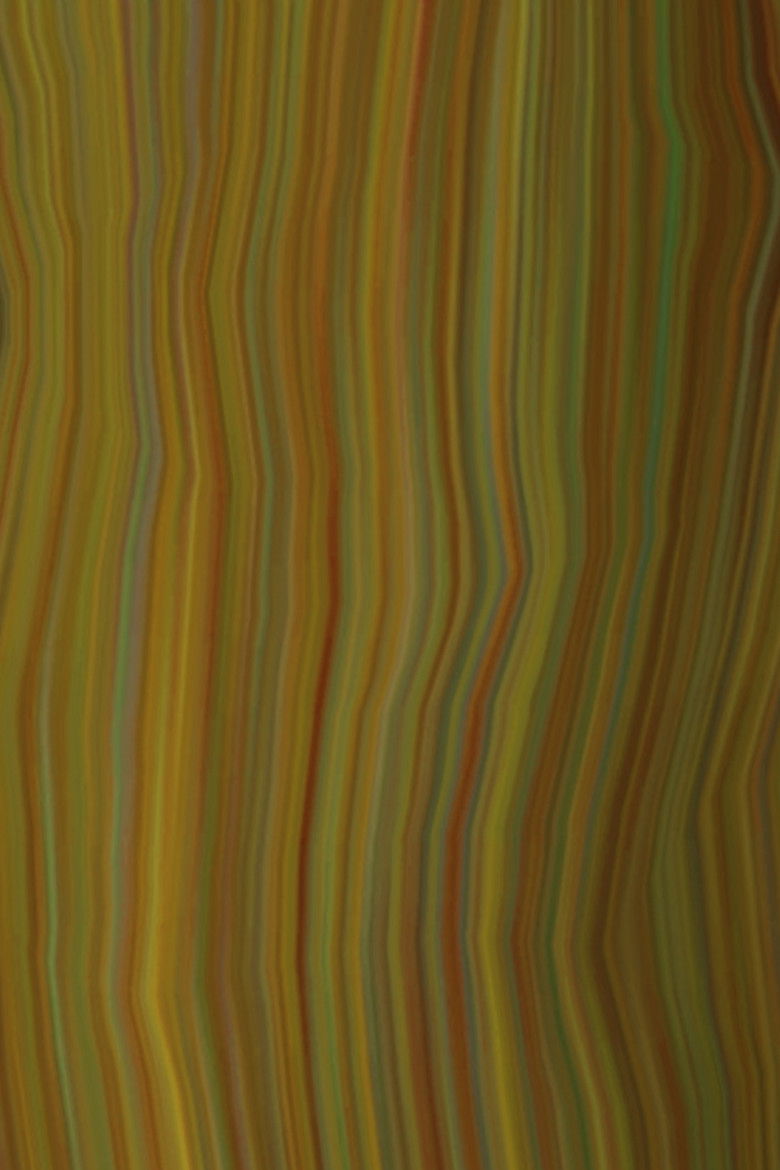 Imatge de New Schubert