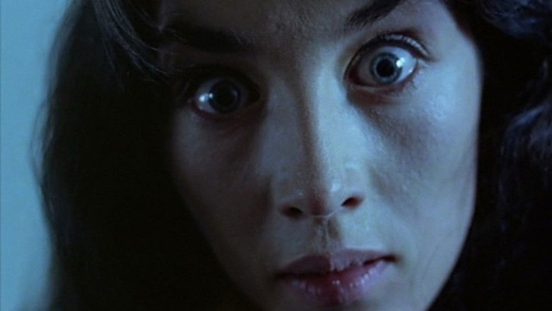 2sxndtvrm1fpegcxu2z2wbdm2fg