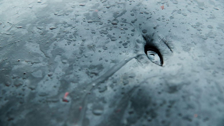 A Taste of Whale Photo 3