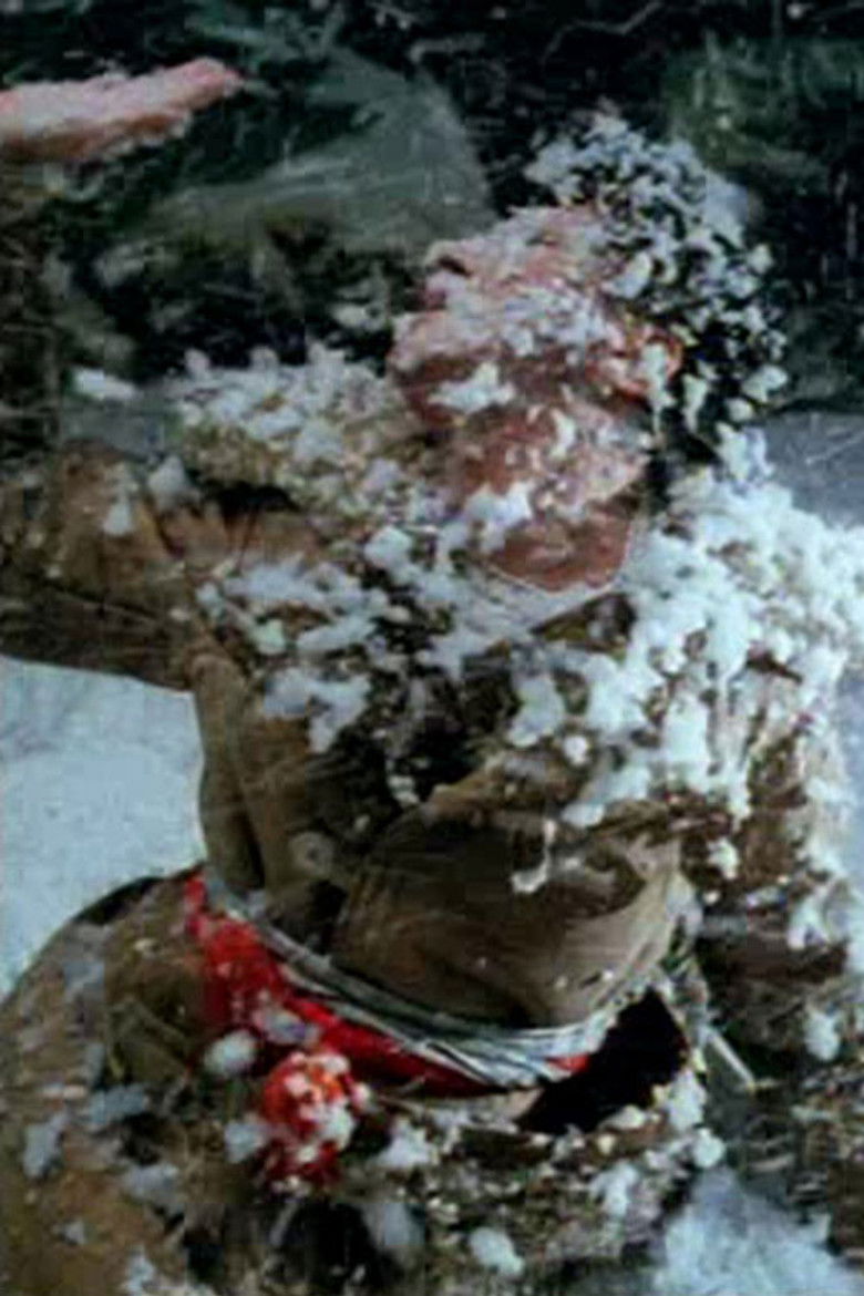 Imatge de Вокалды параллелдер