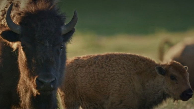 Image d'arrière-plan 5 du film Bring Them Home