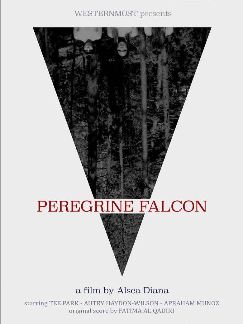 Peregrine Falcon