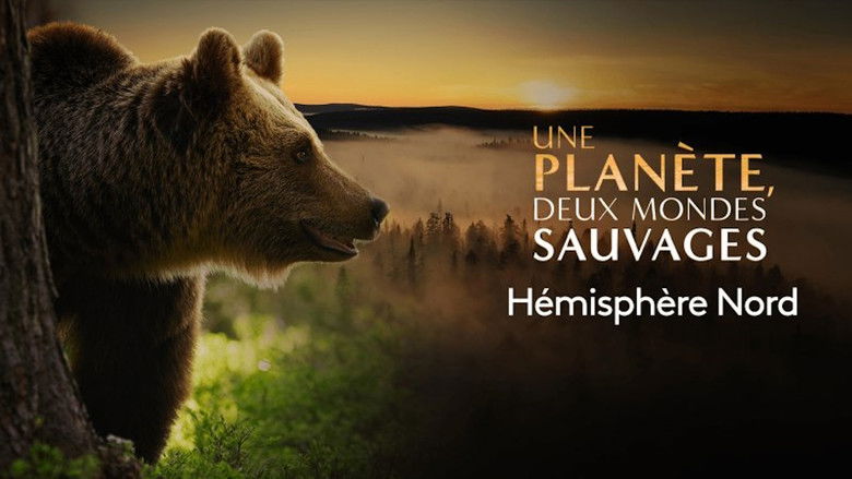 Still image for Une planète, deux mondes sauvages season 1 episode 2: Episode 2