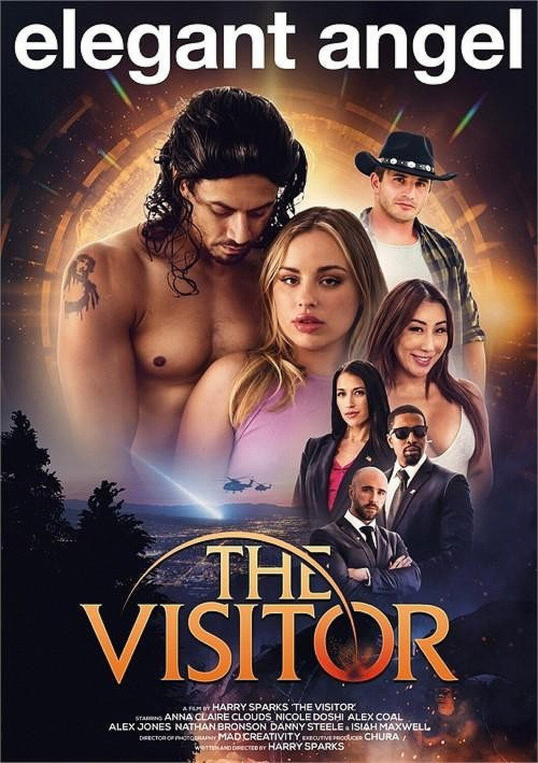 Affiche de THE VISITOR