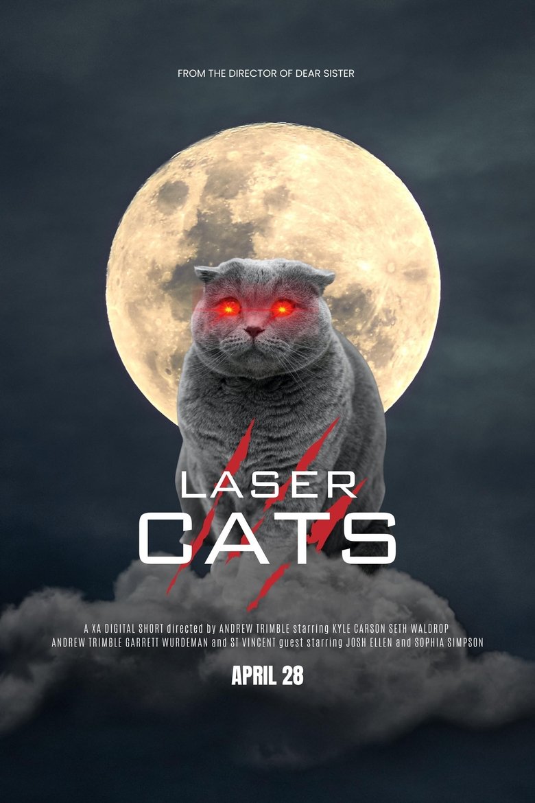 Laser Cats main poster